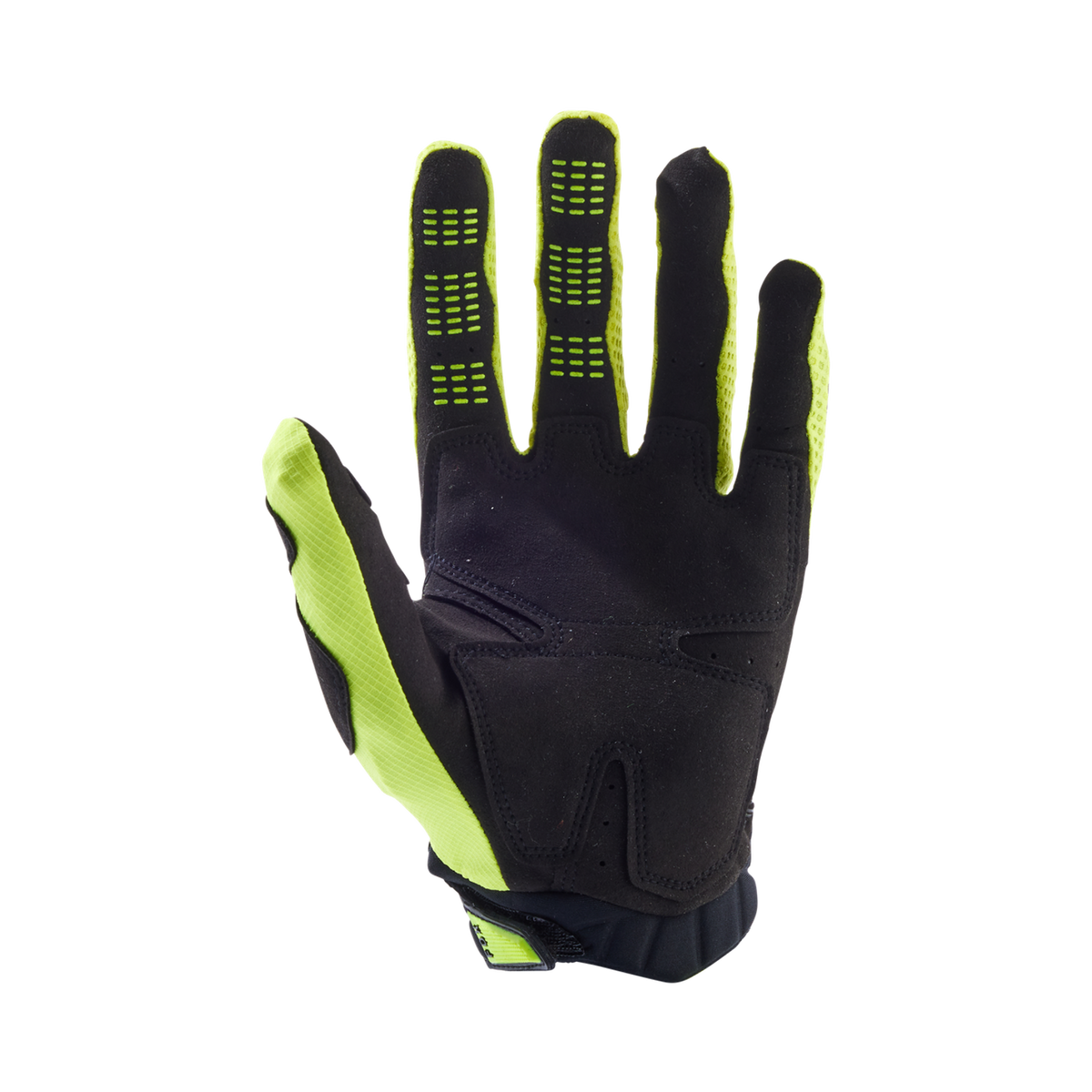 Pawtector Gloves